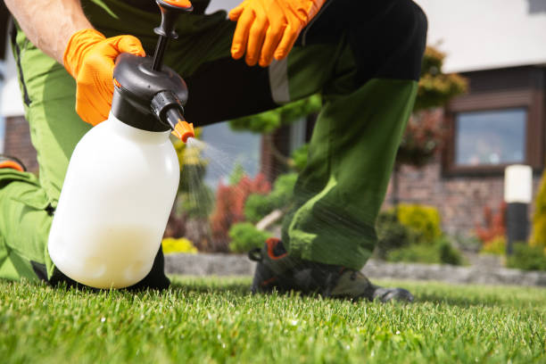 Best Ant Control Services  in Olmsted Falls, OH