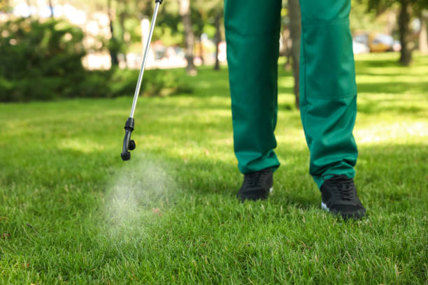 Best Mosquito Control Services  in Olmsted Falls, OH