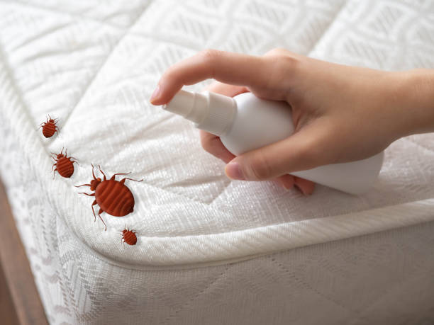 Best Affordable Pest Control Services  in Olmsted Falls, OH